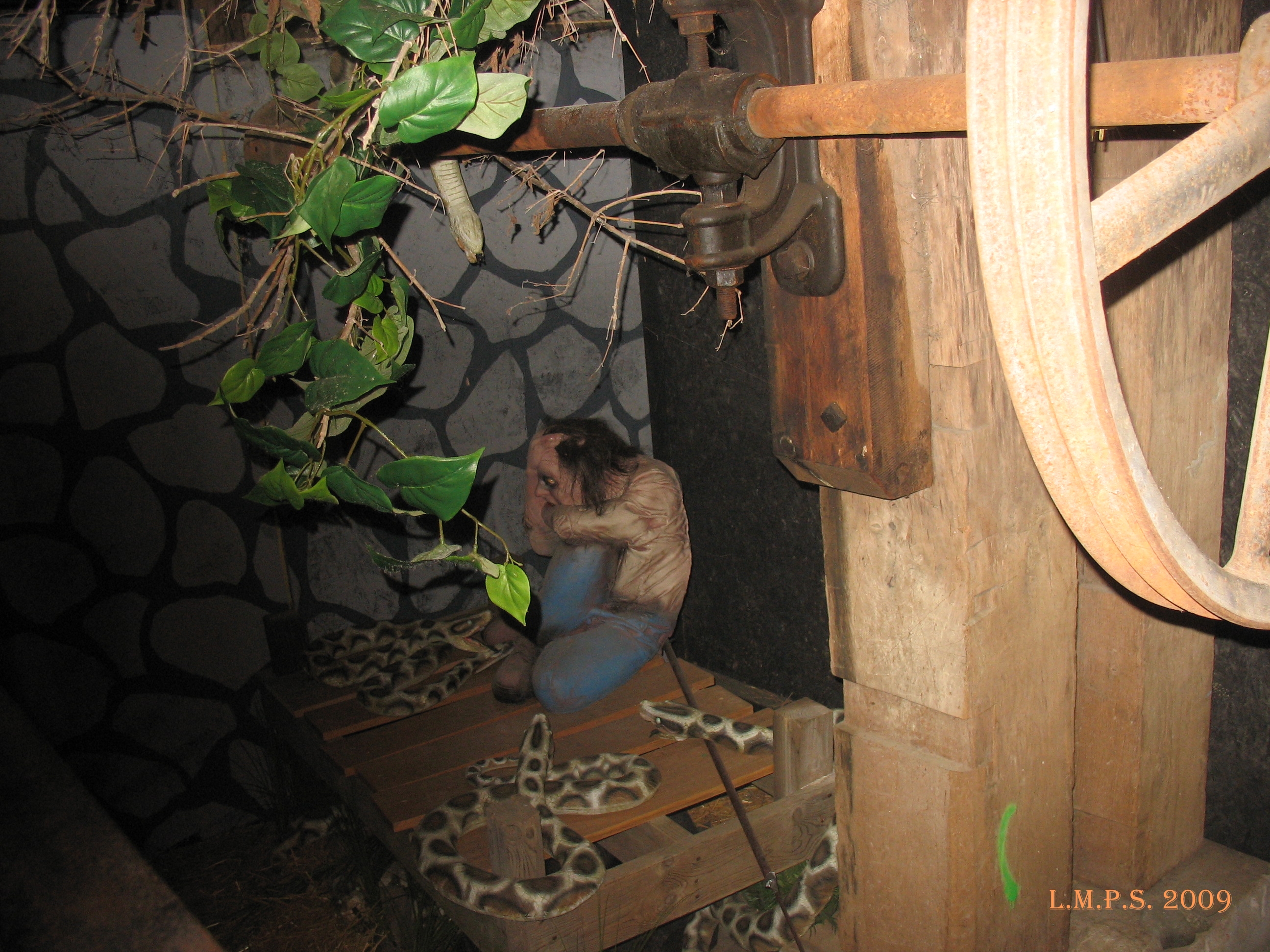Snakes 1
